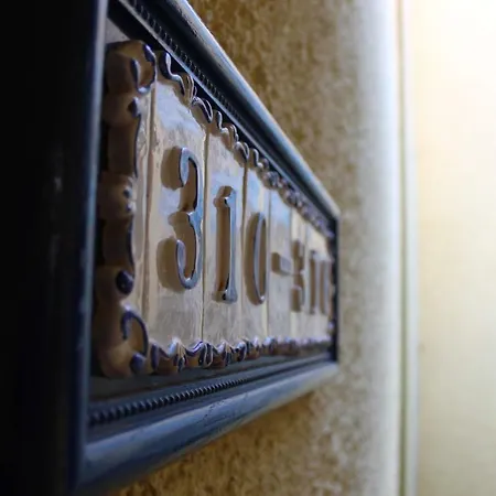 Bougainvillea Bamira